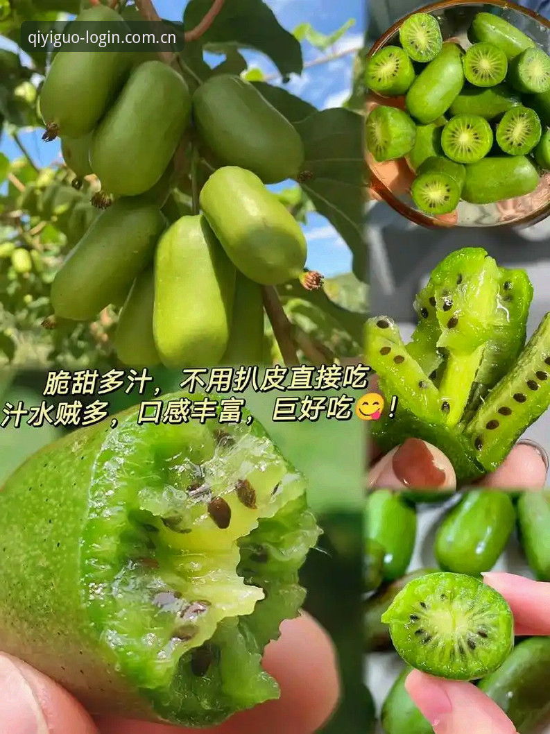 奇异果体育官网下载评测 奇异果体育官网下载评测:新手如何快速上手?这些功能你了解了吗?